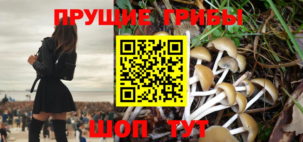Галлюциногенные грибы Magic Shrooms Тобольск